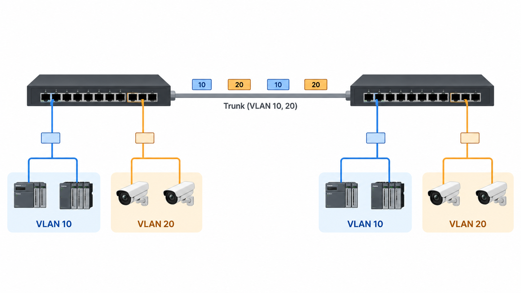 Conceptual VLAN 10 and VLAN 20 traffic crossing a tagged uplink between two switches and reaching their corresponding access endpoints.